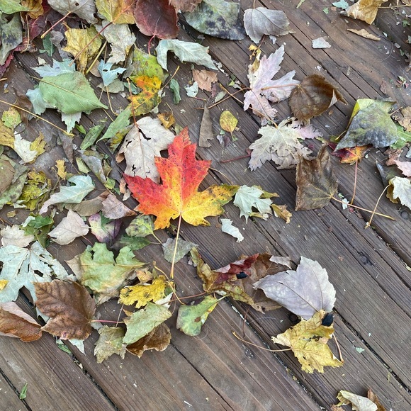 Meet your Posher, Jen - Picture 4 of 4